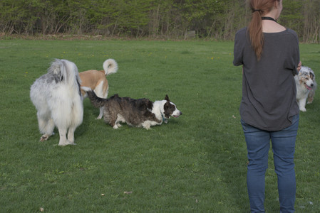 20250429_Plants and Dog Park__DSC0645_.jpg