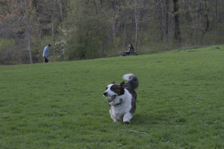 20250429_Plants and Dog Park__DSC0657_.jpg