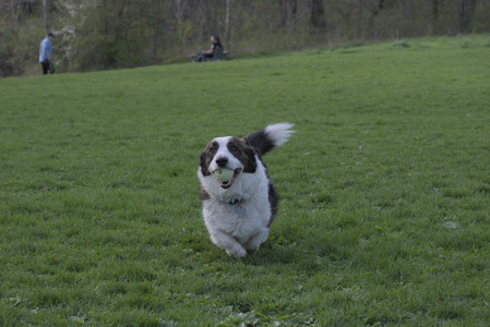 20250429_Plants and Dog Park__DSC0661_.jpg