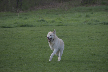 20250429_Plants and Dog Park__DSC0684_.jpg