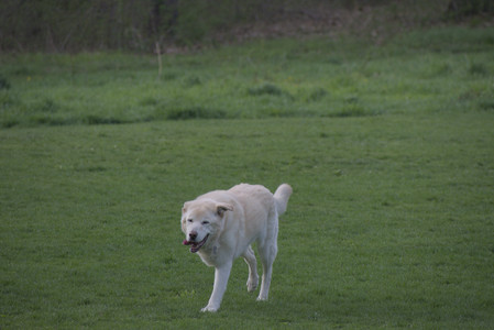 20250429_Plants and Dog Park__DSC0690_.jpg