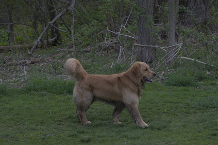 20250429_Plants and Dog Park__DSC0710_.jpg