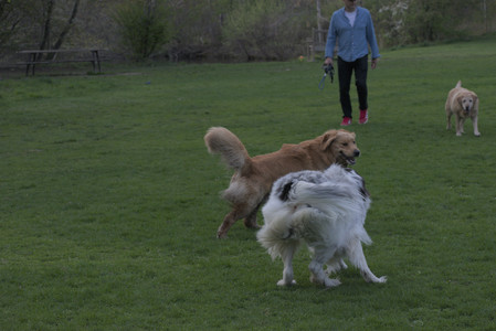 20250429_Plants and Dog Park__DSC0743_.jpg