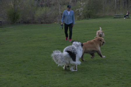 20250429_Plants and Dog Park__DSC0745_.jpg