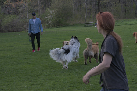 20250429_Plants and Dog Park__DSC0748_.jpg