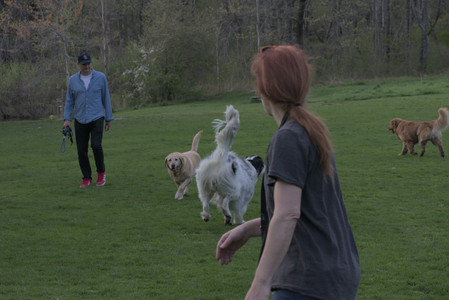 20250429_Plants and Dog Park__DSC0749_.jpg