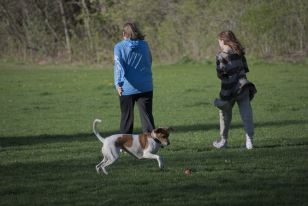 20250430_Dog park__DSC0009_.jpg