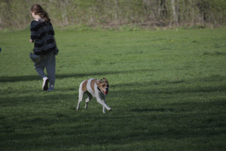 20250430_Dog park__DSC0011_.jpg