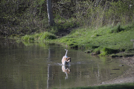20250430_Dog park__DSC0088_.jpg