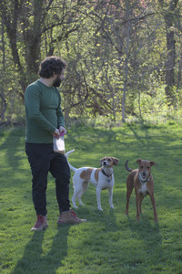 20250430_Dog park__DSC0149_.jpg