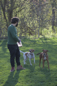 20250430_Dog park__DSC0150_.jpg