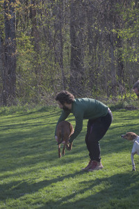 20250430_Dog park__DSC0154_.jpg