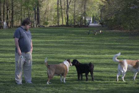 20250430_Dog park__DSC0157_.jpg