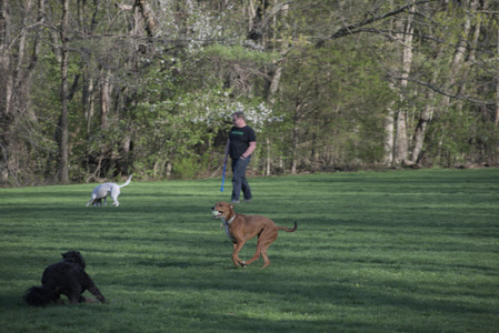20250430_Dog park__DSC0170_.jpg
