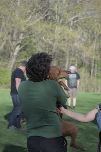 20250430_Dog park__DSC0222_.jpg