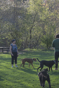 20250430_Dog park__DSC0240_.jpg
