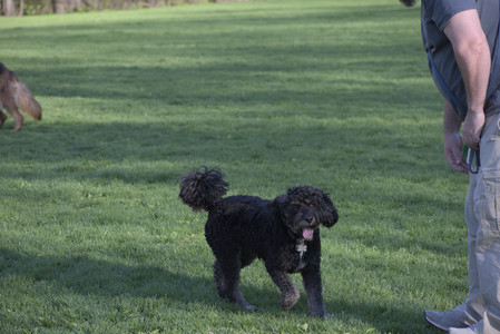 20250430_Dog park__DSC0250_.jpg