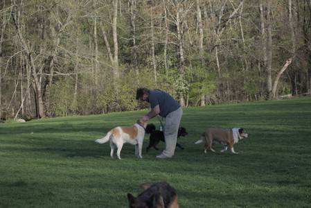 20250430_Dog park__DSC0307_.jpg