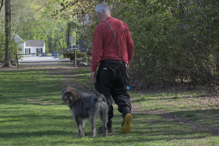 20250501_Dog park__DSC0077_.jpg