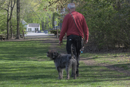20250501_Dog park__DSC0079_.jpg