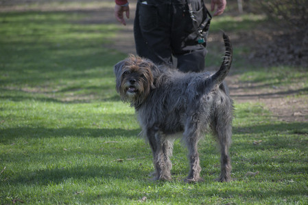 20250501_Dog park__DSC0080_.jpg