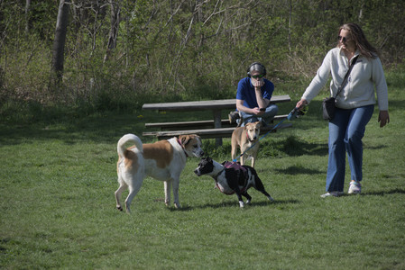 20250501_Dog park__DSC0118_.jpg