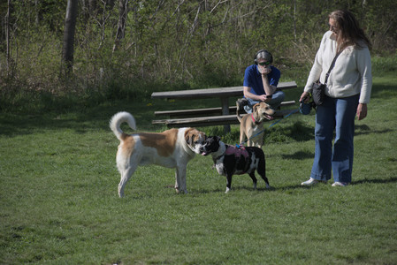 20250501_Dog park__DSC0119_.jpg