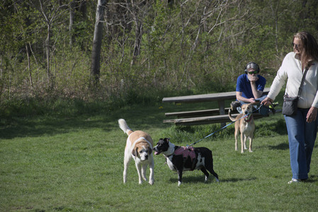 20250501_Dog park__DSC0120_.jpg