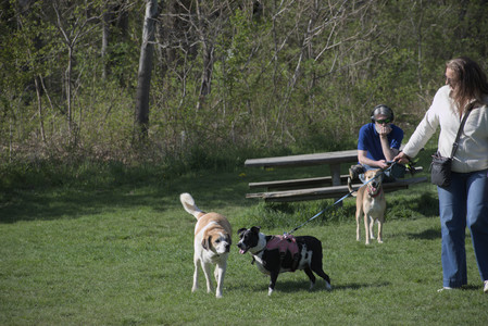 20250501_Dog park__DSC0121_.jpg