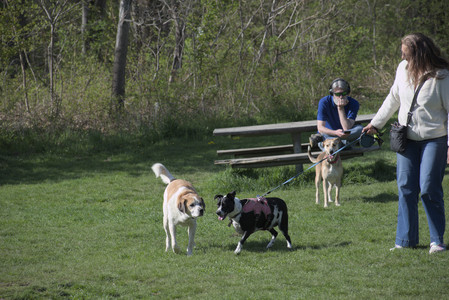 20250501_Dog park__DSC0122_.jpg