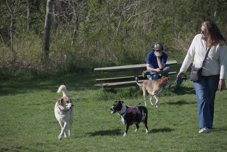 20250501_Dog park__DSC0123_.jpg