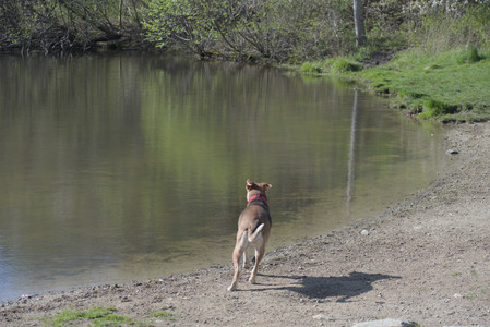 20250501_Dog park__DSC0124_.jpg