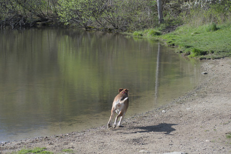 20250501_Dog park__DSC0125_.jpg