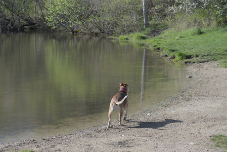 20250501_Dog park__DSC0126_.jpg