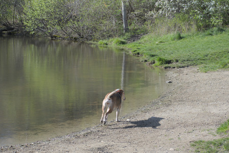 20250501_Dog park__DSC0127_.jpg