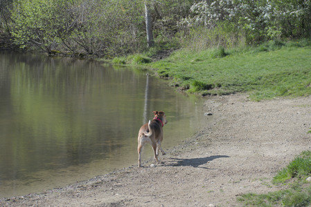 20250501_Dog park__DSC0128_.jpg