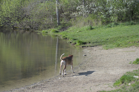 20250501_Dog park__DSC0129_.jpg