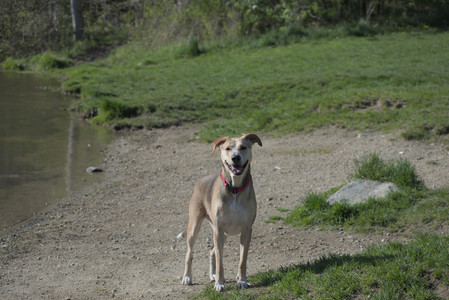 20250501_Dog park__DSC0142_.jpg