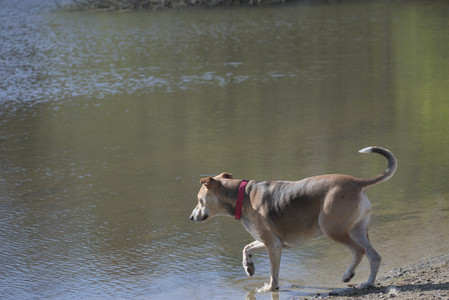 20250501_Dog park__DSC0144_.jpg