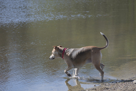 20250501_Dog park__DSC0146_.jpg