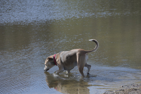 20250501_Dog park__DSC0152_.jpg