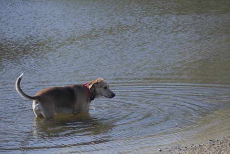 20250501_Dog park__DSC0153_.jpg