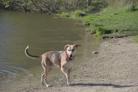 20250501_Dog park__DSC0156_.jpg