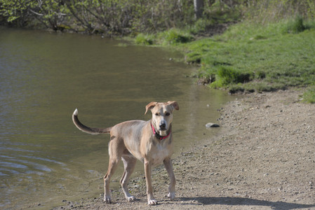 20250501_Dog park__DSC0157_.jpg