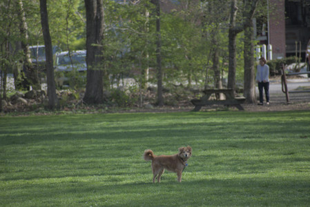 20250501_Dog park__DSC0189_.jpg