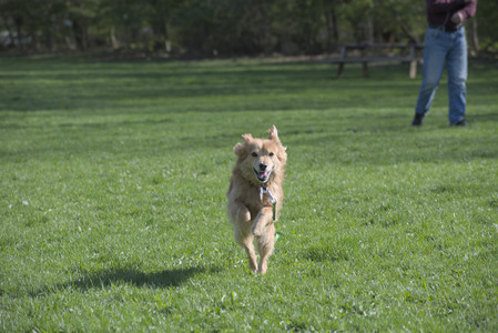 20250501_Dog park__DSC0198_.jpg