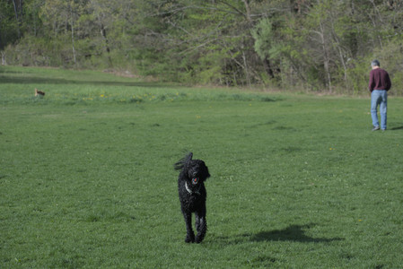 20250501_Dog park__DSC0203_.jpg