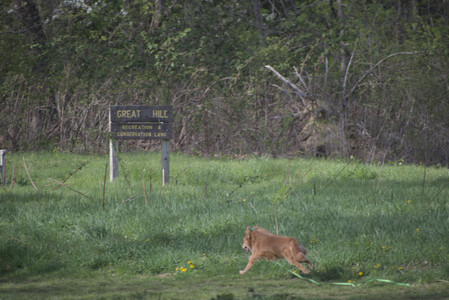 20250501_Dog park__DSC0249_.jpg