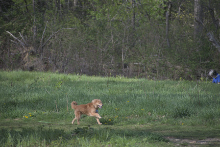 20250501_Dog park__DSC0264_.jpg