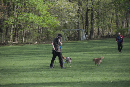 20250501_Dog park__DSC0331_.jpg